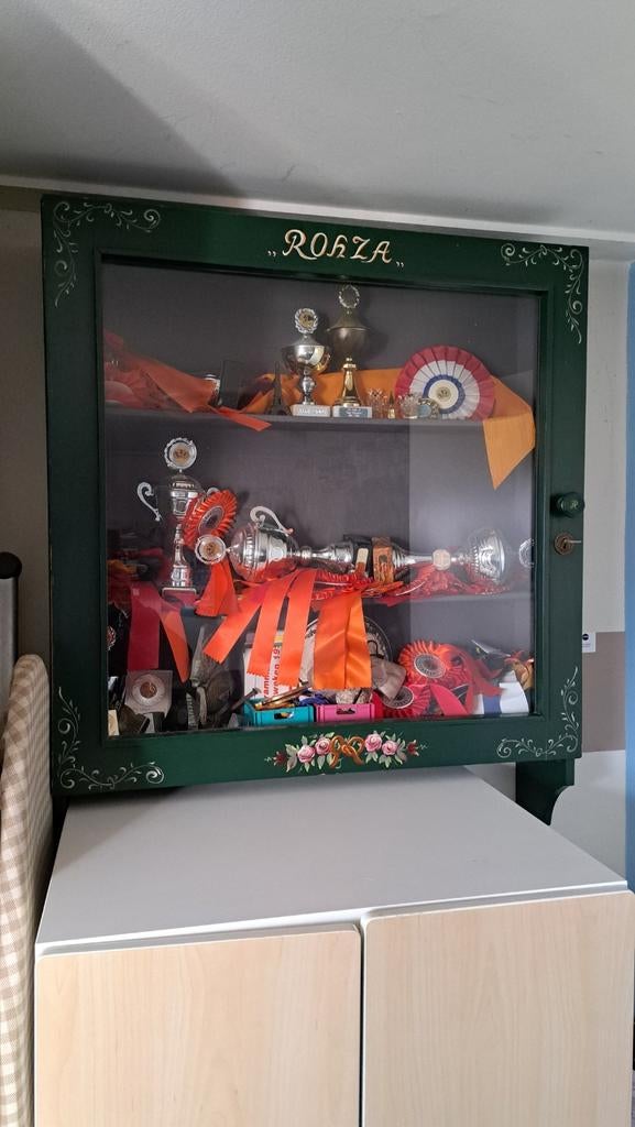 Prachtig beschilderde medaillekast / vitrinekast, Huis en Inrichting, Kasten | Vitrinekasten, Ophalen