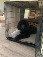 Te koop honden bench., Dieren en Toebehoren, Ophalen, Zo goed als nieuw