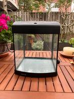 Aquarium, Dieren en Toebehoren, Vissen | Aquaria en Toebehoren, Ophalen of Verzenden, Zo goed als nieuw, Leeg aquarium