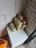 Eieren bakje, Ophalen of Verzenden