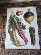VERGETEN GROENTEN op linnen zgan plms 80x 106 doekformaat, Antiek en Kunst, Kunst | Litho's en Zeefdrukken, Ophalen