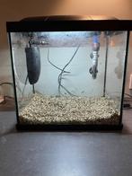 Aquarium met filter en verwarming, Dieren en Toebehoren, Ophalen, Gebruikt, Leeg aquarium