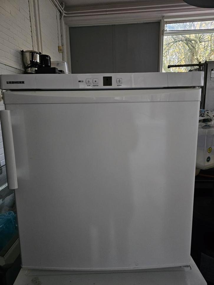 2 laden Liebherr vrieskast, Witgoed en Apparatuur, Vriezers en Diepvrieskisten, 160 cm of meer, 60 tot 90 cm, Ophalen
