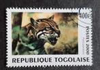 Togo pardelkat, Ophalen of Verzenden