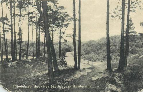 (381-193-013) Harderwijk Rijwielpad door het Stadsbosch, Verzamelen, Ansichtkaarten | Nederland, Gelderland, Verzenden