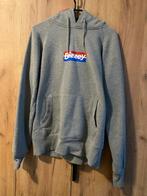Bizzy Hoodie, Ophalen of Verzenden, Gedragen, Grijs