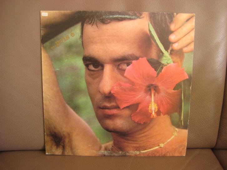 Ney Matogrosso – ...Pois É, Cd's en Dvd's, Vinyl | Latin en Salsa, Zo goed als nieuw, 12 inch, Ophalen of Verzenden