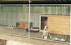 Hondenkennels Gegalvaniseerd met 5 Jaar garantie, Dieren en Toebehoren, Ophalen of Verzenden