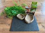 Voerbakjes lampen (nep)plant, Dieren en Toebehoren, Ophalen, Zo goed als nieuw, Terrarium of Paludarium