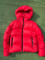 Calvin Klein Donsjack Rood Maat M, Kleding | Dames, Ophalen of Verzenden, Zo goed als nieuw, Maat 38/40 (M), Rood