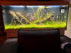 Juwel 450, Dieren en Toebehoren, Vissen | Aquaria en Toebehoren, Ophalen of Verzenden, Zo goed als nieuw, Gevuld zoetwateraquarium