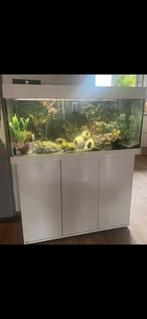 Juwel rio 180, Dieren en Toebehoren, Vissen | Aquaria en Toebehoren, Ophalen, Gebruikt, Leeg aquarium