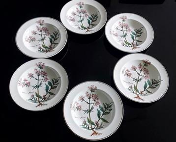 Villeroy & Boch Botanica Bord(en) beschikbaar voor biedingen