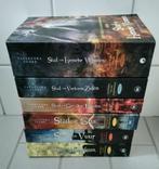 Cassandra Clare: De Kronieken van de Onderwereld (Compleet), Boeken, Ophalen of Verzenden, Zo goed als nieuw, Cassandra Clare