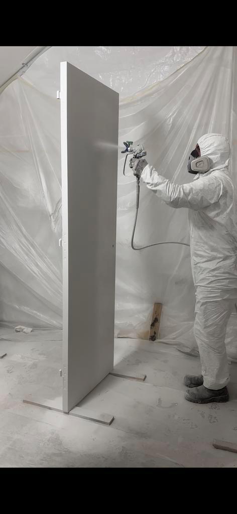 Professionele LakSpuiters, Diensten en Vakmensen, Schilders en Behangers, Binnenschilderwerk, Garantie, Kleuradvies