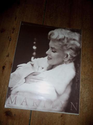 muziek artiest  marilyn monroe 28x35,5cm fotokaart  beschikbaar voor biedingen
