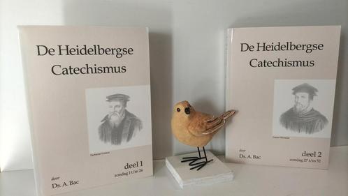 Bac. Ds. A. De Heidelbergse Catechismus (2 delen), Boeken, Godsdienst en Theologie, Gelezen, Christendom | Protestants, Ophalen of Verzenden