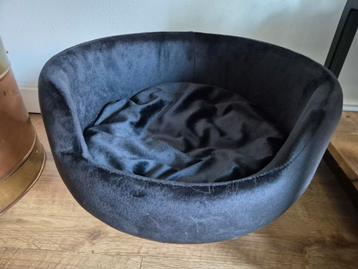 Kleine katten of honden mand beschikbaar voor biedingen