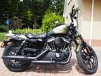 Te koop Harley Davidson Sportster 883 Iron, Motoren, 2 cilinders, Motorrijbewijs A, Particulier, 838 cc