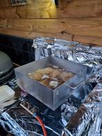 RVS Visbakpan - Professioneel, Witgoed en Apparatuur, Frituurpannen, 4 liter of meer, Ophalen of Verzenden, Nieuw