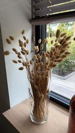 Hoge glazen vaas met droogbloemen, Ophalen of Verzenden, Zo goed als nieuw