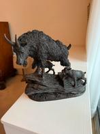 Beeld “Mountain Goa” - Peter Thompson, Ophalen