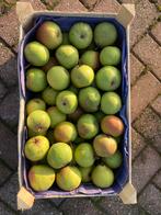 BREDERODE onbespoten stoofperen, Ophalen