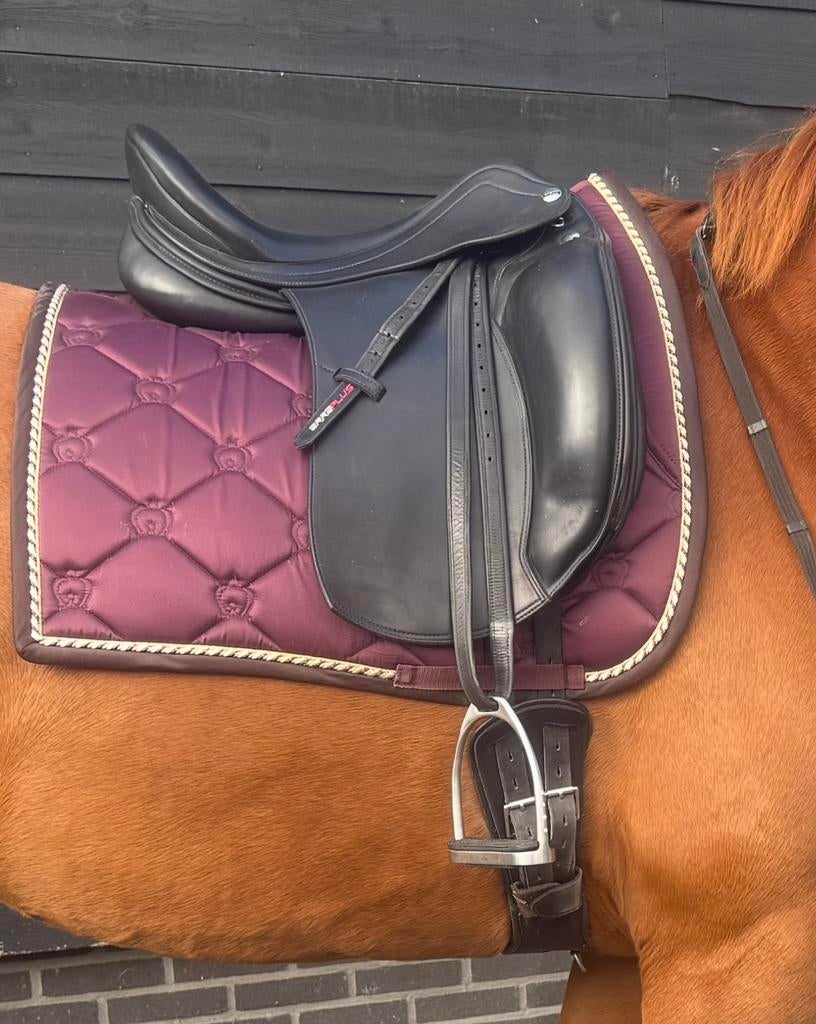 Erreplus Adelinde, Ophalen of Verzenden, Gebruikt, Dressuur