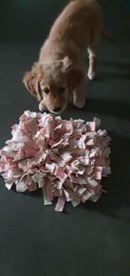 Snuffelmat voor hond, kat, konijn of cavia, Dieren en Toebehoren, Ophalen of Verzenden, Nieuw, Intelligentiespeelgoed