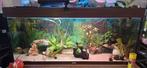 Aquarium te koop, Dieren en Toebehoren, Vissen | Aquaria en Toebehoren, Ophalen of Verzenden, Zo goed als nieuw, Leeg aquarium