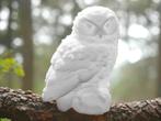 Hedwig Snow Owl Harry Potter 3D printed decoratie wizard, Nieuw, Ophalen of Verzenden, Replica