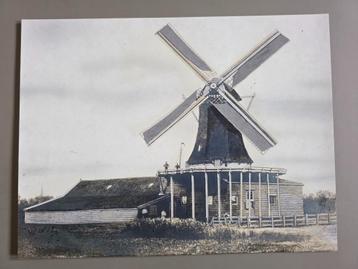 056) ORIGINELE FOTO MOLEN GEBOUWD 1648, VERBRAND 5 JUNI 1904 beschikbaar voor biedingen