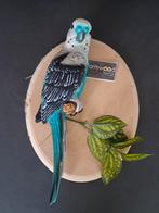 Mooi beeld voor aan de muur van parkiet, Ophalen of Verzenden, Nieuw, Dier