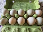 Eendeneieren, Ophalen of Verzenden