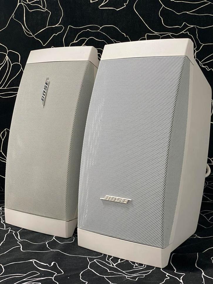 Bose FreeSpace DS 100SE – Professionele Binnen/Buiten, Audio, Tv en Foto, Luidsprekers, Zo goed als nieuw, Front, Rear of Stereo speakers