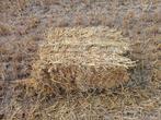 stro gevraagd, Dieren en Toebehoren, Dierenvoeding, Ophalen, Overige soorten