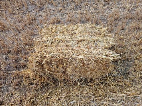 stro gevraagd, Dieren en Toebehoren, Dierenvoeding, Overige soorten, Ophalen