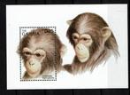 gambia 1996 pf lok apen wildlife zoogdieren monkey's, Ophalen of Verzenden, Postfris, Dier of Natuur