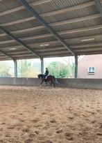 Bijrijder/leaser/verzorger aangeboden, Ophalen of Verzenden, Zo goed als nieuw