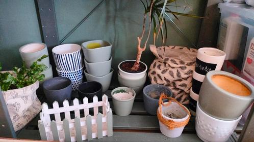 10€ voor 22 bloempotten, 2 zakken, streepjes, groengrijs, Tuin en Terras, Bloempotten, Gebruikt, Steen, Binnen, Minder dan 40 cm