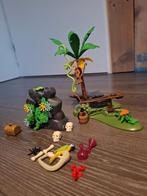 Playmobil fantasie eiland en reuzenpanda's, Complete set, Ophalen of Verzenden, Zo goed als nieuw