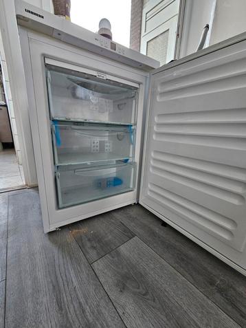 Liebherr GNP 1066-21 Vrieskast - Topstaat! beschikbaar voor biedingen