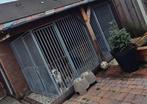 Hondenkennel / kenneldelen., Ophalen, 110 cm of meer, Hondenkennel, 100 cm of meer