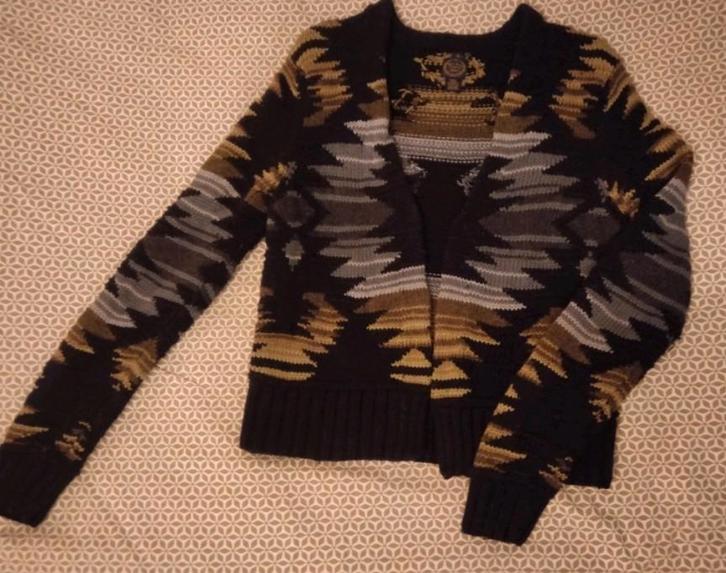 Polo Jeans Company/Ralph Lauren Vest. Stijlvol + Comfortabel, Kleding | Dames, T-shirts, Gedragen, Maat 38/40 (M), Blauw, Lange mouw