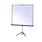 Projecta Scherm & Projectietafel, Ophalen, Gebruikt