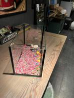 Aquarium 50 x 25 x 30, Dieren en Toebehoren, Ophalen, Zo goed als nieuw, Leeg aquarium