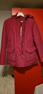 Airforce jas maat xs, Airforce, Ophalen of Verzenden, Zo goed als nieuw, Maat 34 (XS) of kleiner