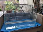 Terrarium (glas, ijzer) groot, Minder dan 60 cm, Kooi, Ophalen of Verzenden, Zo goed als nieuw