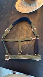 Halster harry’s horse maat Cob, Dieren en Toebehoren, Ophalen, Nieuw
