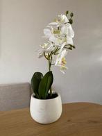 Kunstplant, Huis en Inrichting, Woonaccessoires | Kunstplanten en Kunstbloemen, Ophalen, Gebruikt, Binnen